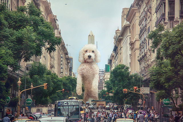 Picture of Buenos Aires, Buenos Aires, Argentina